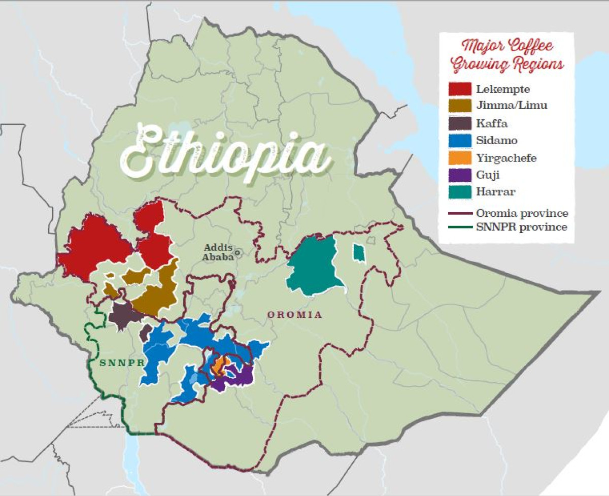 ETHIOPIA – A WHOLE WORLD OF COFFEE PT 2 | Jones Brothers Coffee