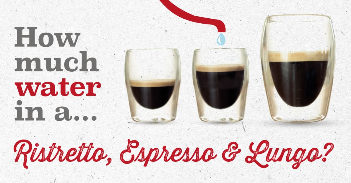 intenso vs espresso vs lungo